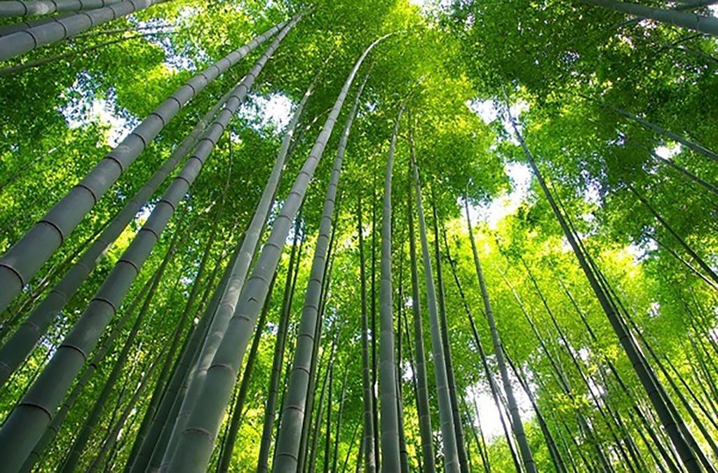 ザ グランド ウェスト 嵐山