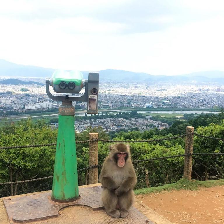 ザ グランド ウェスト 嵐山 4* 京都市